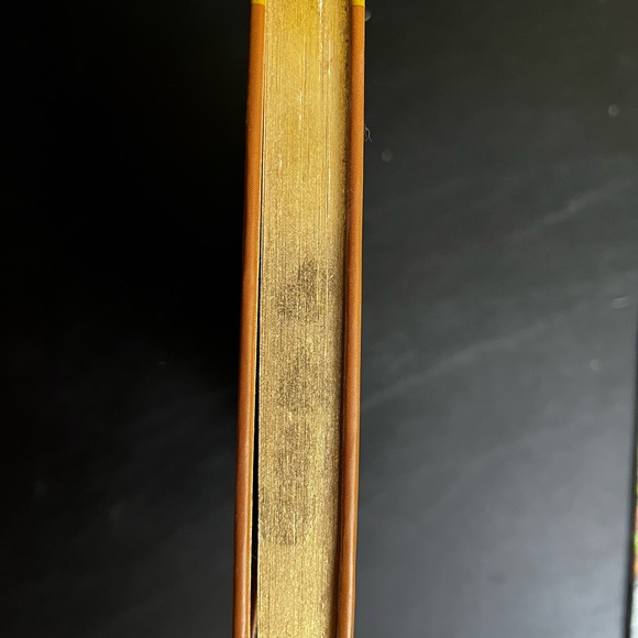 Isabel (The Royal Diaries) - Picture 4 of 7